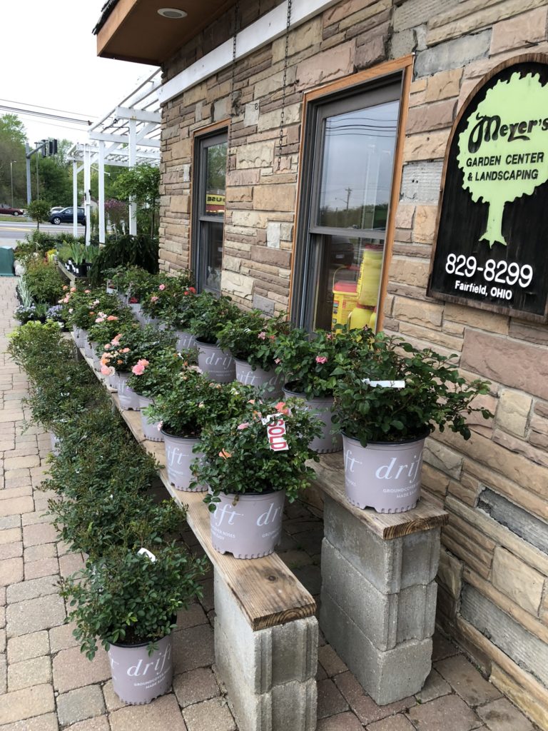 storefront-plants